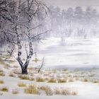 "Wieckenberger Moor im Winter" # 3,