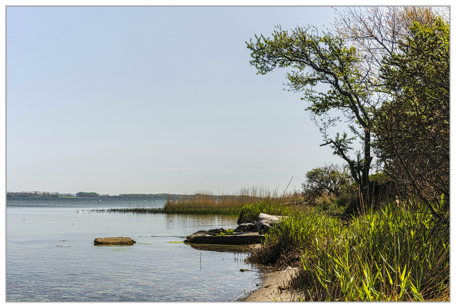 Wiecker Boddenlandschaft