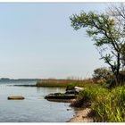 Wiecker Boddenlandschaft