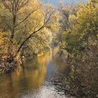 Wied bei Neustadt (Wied) im Herbst