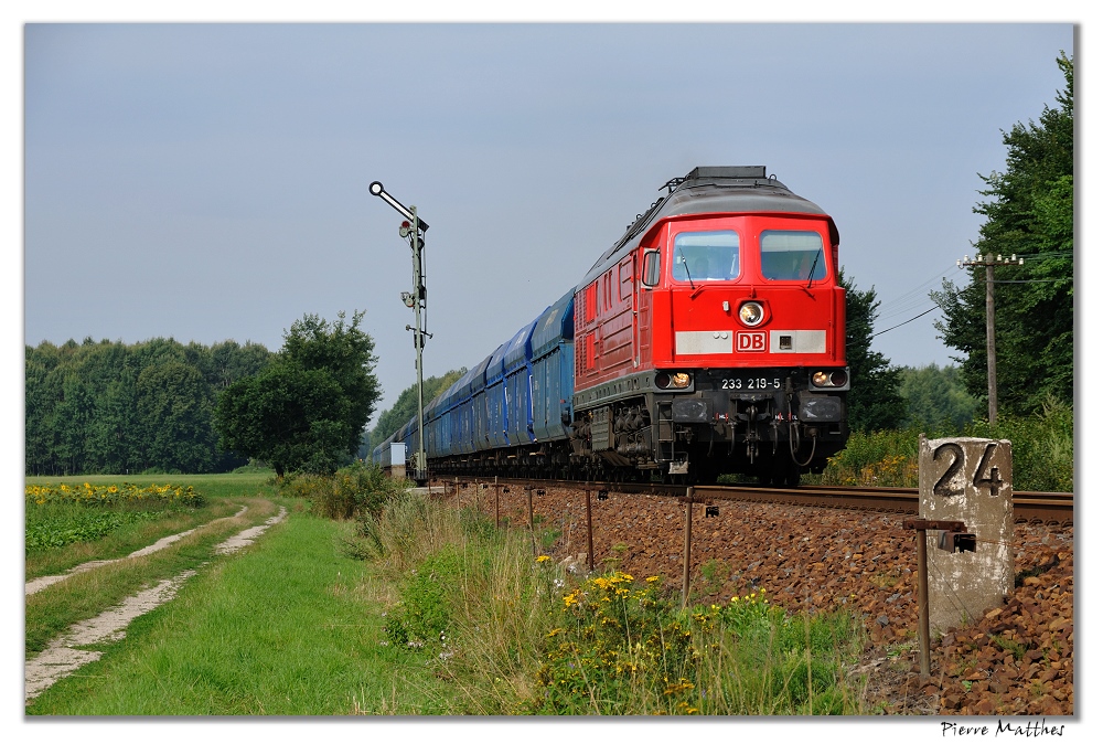 Wieder 233 219 am Abzweig Särichen