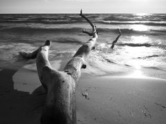 wieder am Strand bei 30 Grad