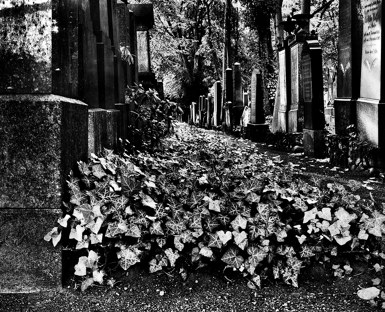 Wieder auf dem Jüdischen Friedhof