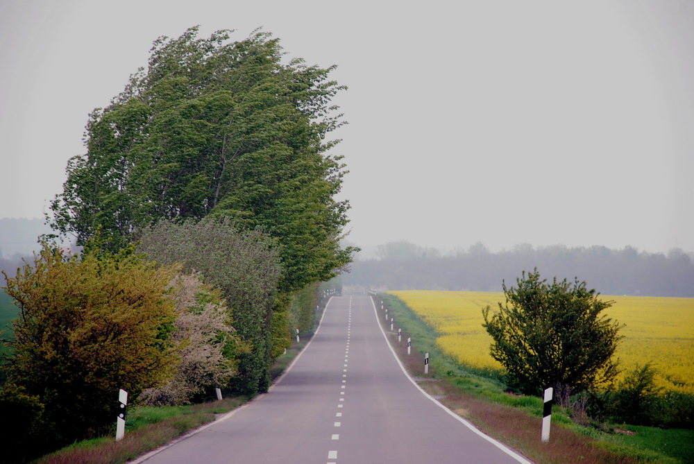 Wieder auf der Straße - on the road again