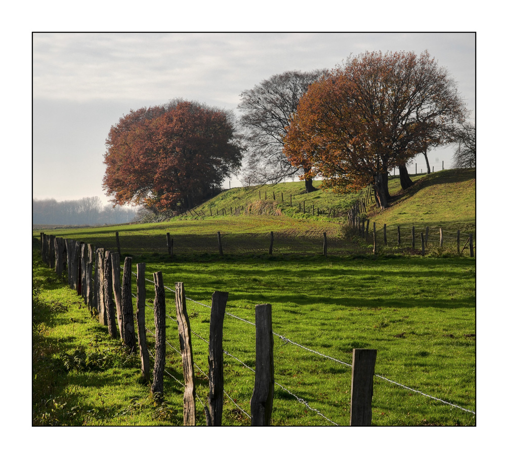 Wieder aufgestöbert: Herbstwiese