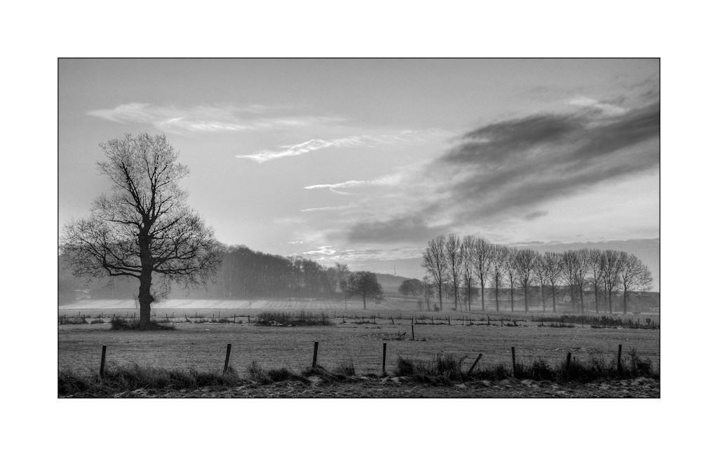 Wieder aufgestöbert: Morgenstimmung