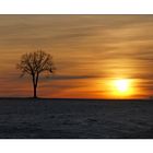 Wieder aufgestöbert: Winter sunset