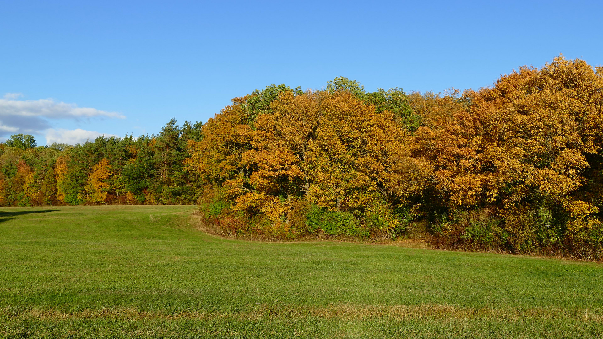 Wieder daheim - Herbst bei uns