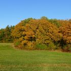 Wieder daheim - Herbst bei uns