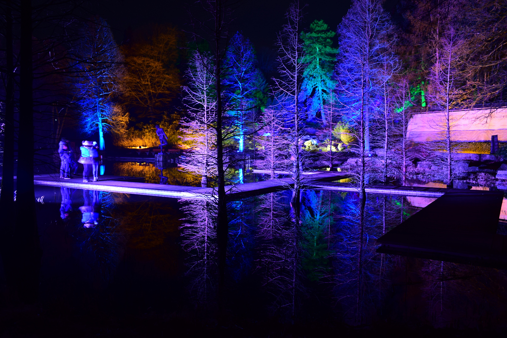 wieder der Waldsee