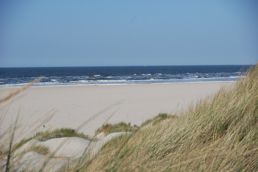 Wieder die Dünen auf Baltrum