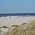 Wieder die Dünen auf Baltrum