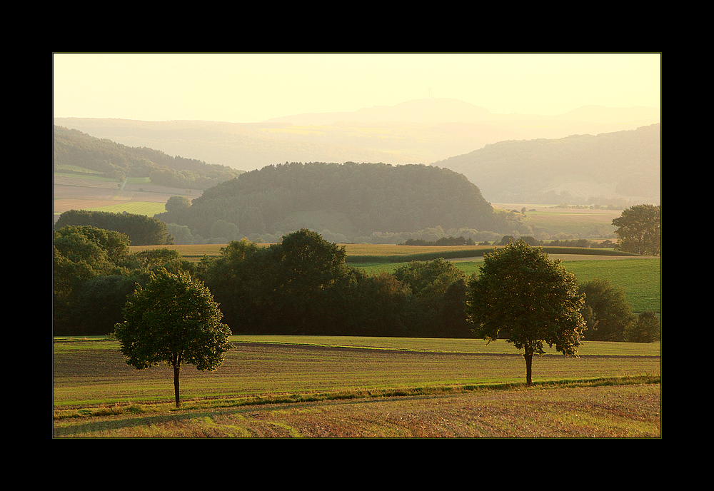 ...wieder dieses gelbe Licht... (Reload) - mit Erläuterung der komplexen Komposition