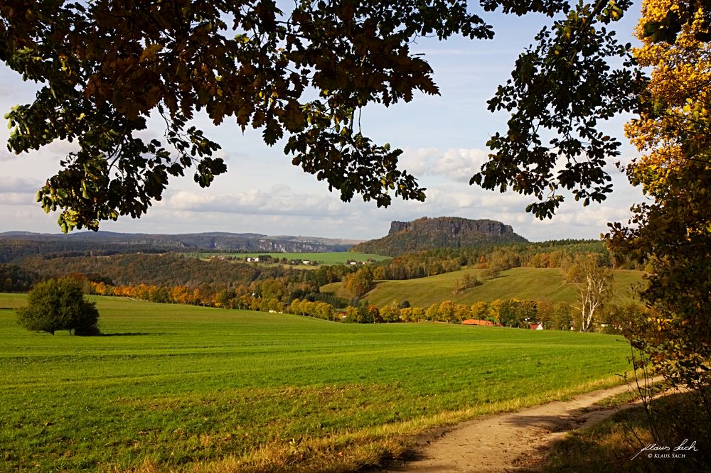 wieder ein Blick auf den Lilienstein