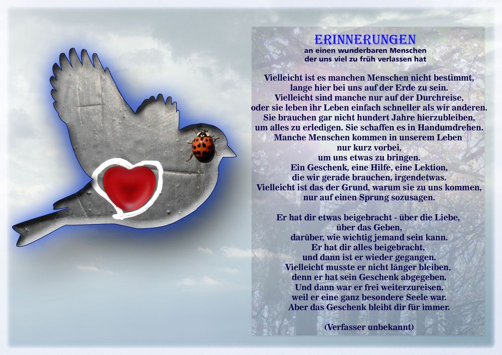Wieder ein Jahr ohne dich Foto & Bild trauer, trauer ein gefühl in