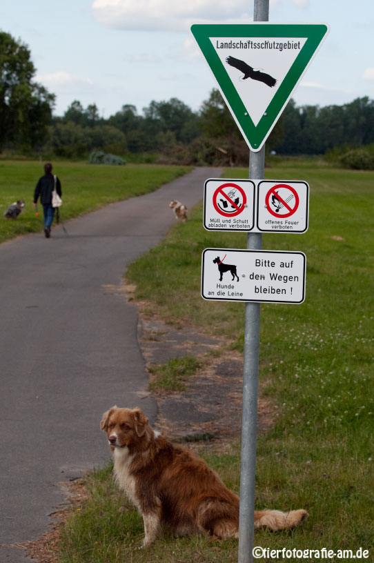 Wieder ein Schild mehr...