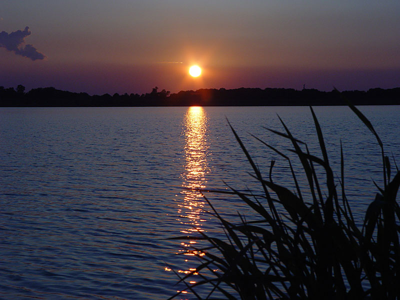 Wieder ein Sonnenuntergang am Cospudener See