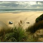 Wieder ein Stück vom "Ninety Mile Beach"