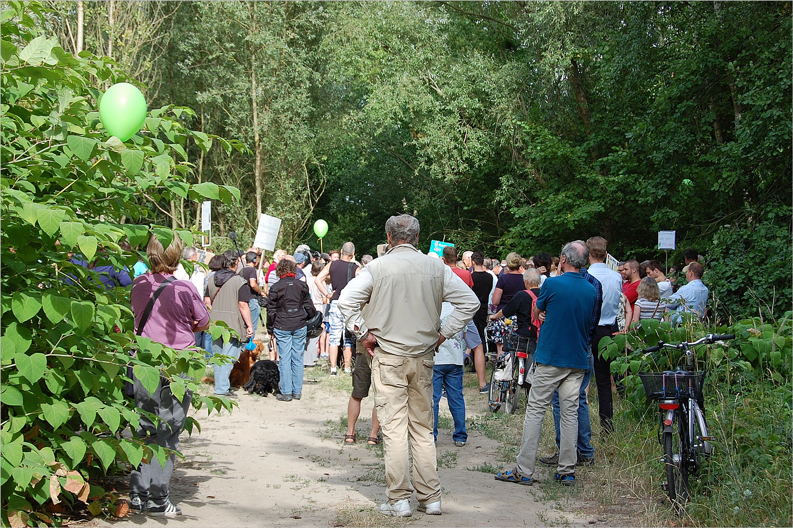 wieder ein Stück Wald weniger?