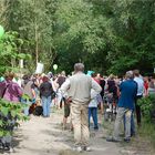 wieder ein Stück Wald weniger?