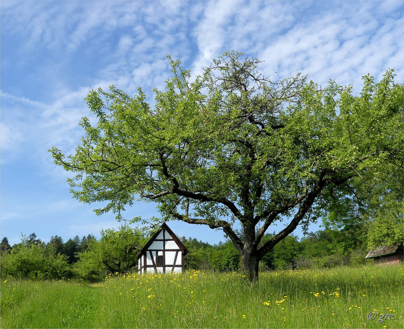 Wieder einmal