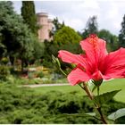 wieder einmal im botanischen garten