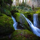 Wieder einmal im Kaltbrunnental