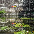 Wieder einmal ... im Landschaftspark Duisburg unterwegs (03)