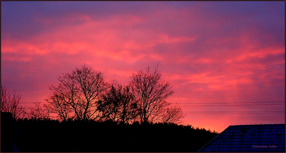 Wieder einmal mehr mein Fensterblick...