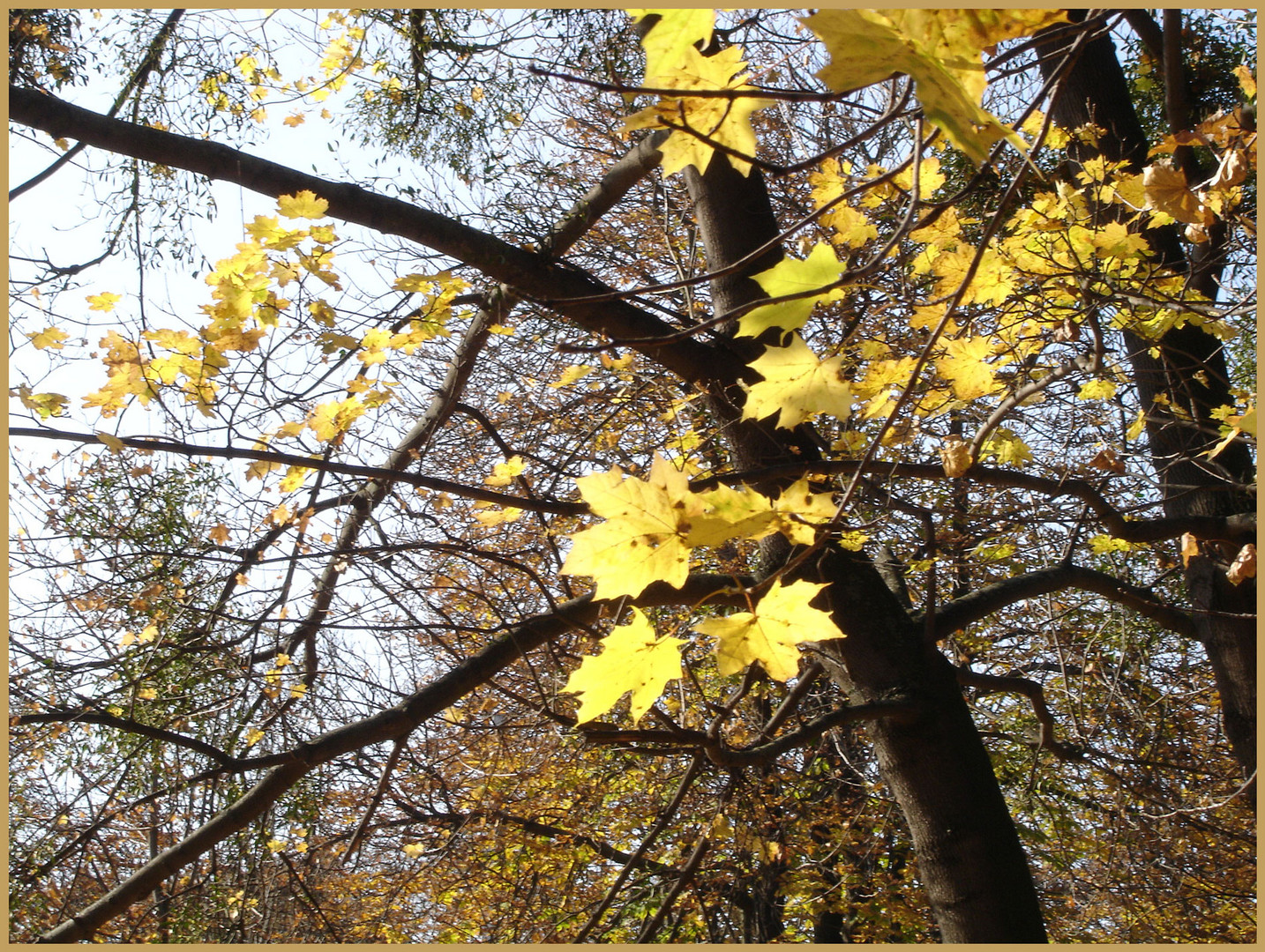 Wieder einmal soweit - nach einem besonders intenisven sommer -