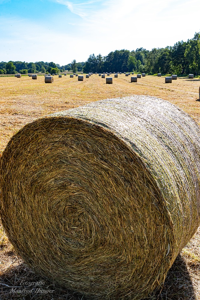 Wieder Erntezeit