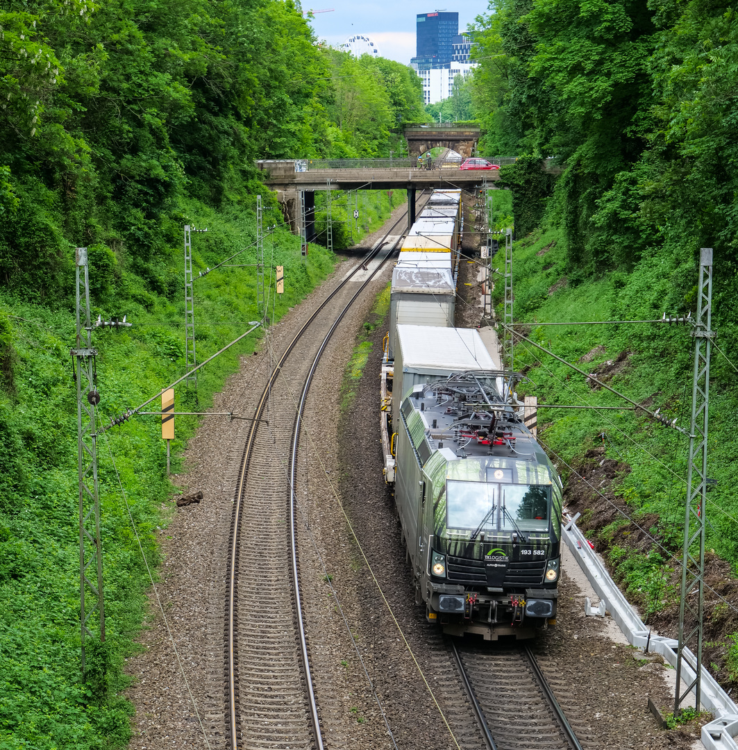 Wieder "Falschfahrt"