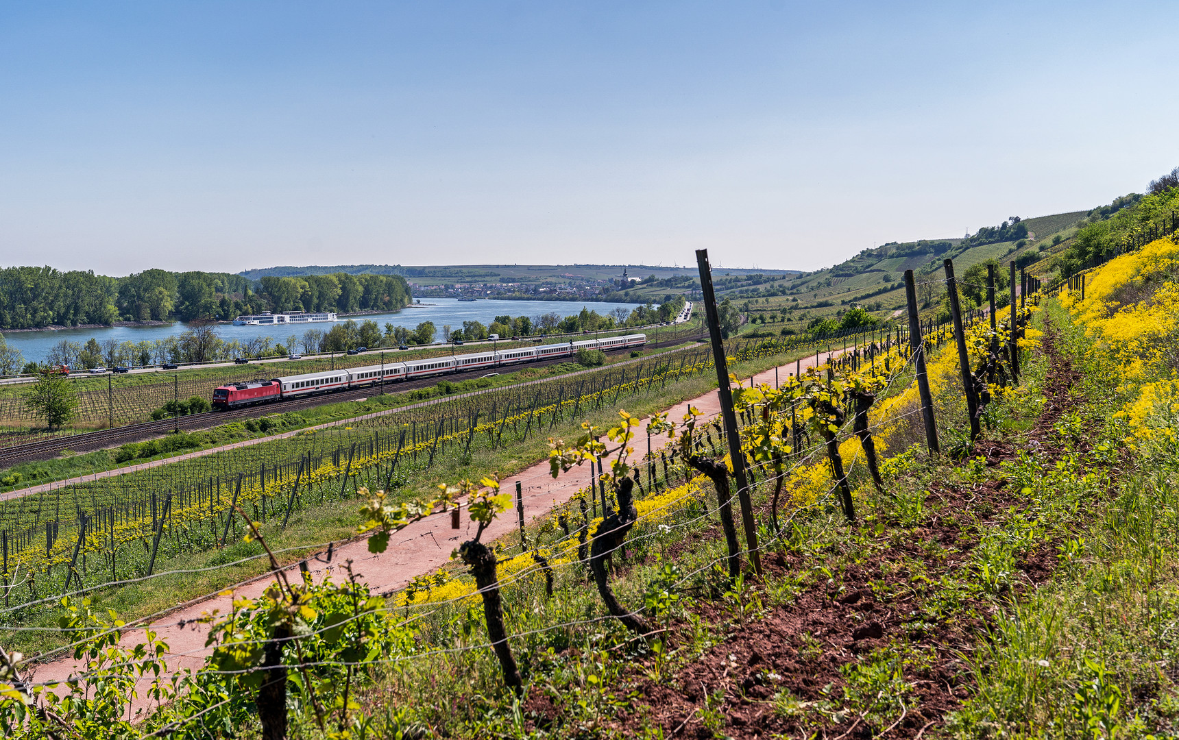 Wieder Farbe in der Landschaft!