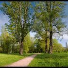 Wieder Frühling im Paradies