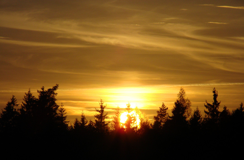 Wieder ganz lieb hat sie mich verlassen unsere Sonne