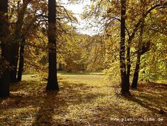 wieder Herbst