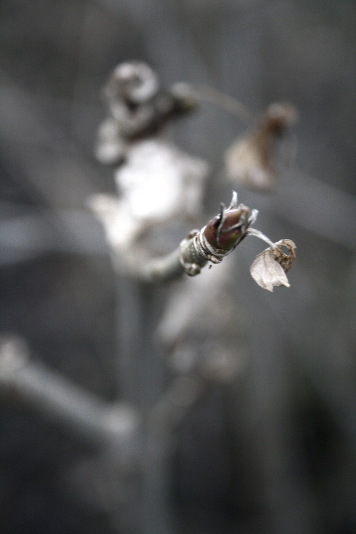 wieder im garten :p