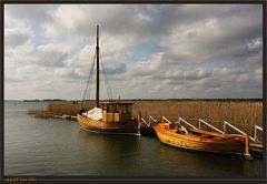 Wieder im Hafen