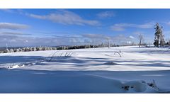 Wieder im Schneekopfmoor unterwegs 1