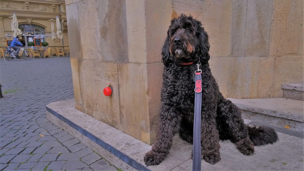 wieder in Erfurt, 4 (en Erfurt otra vez, 4)