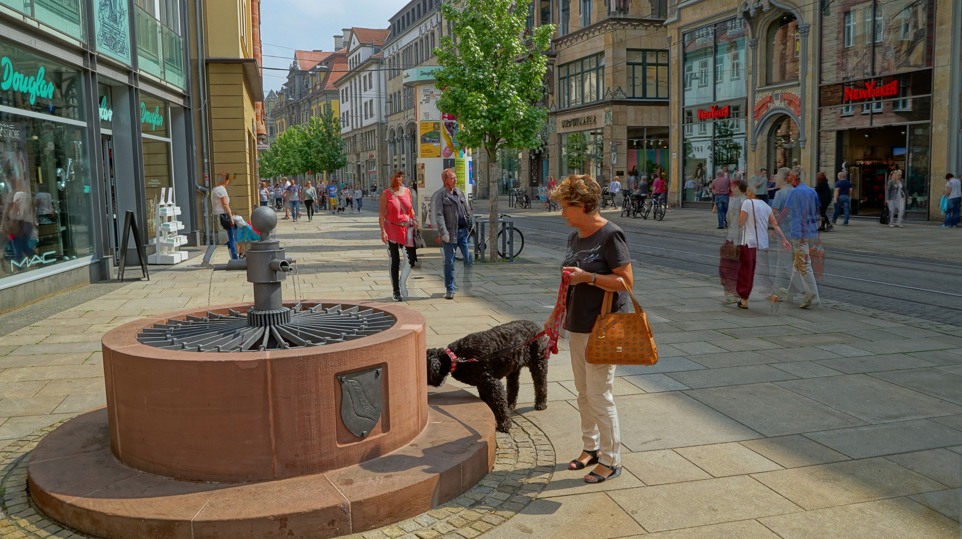 wieder in Erfurt (en Erfurt otra vez)