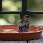 wieder mal baden