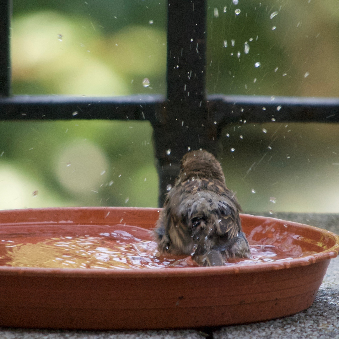 wieder mal baden