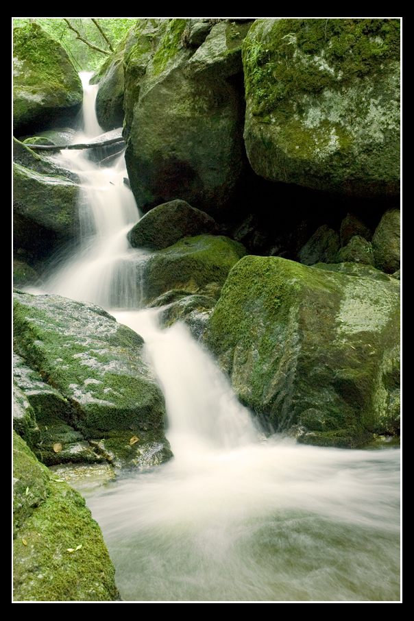 .... wieder mal bei der Ysperklamm