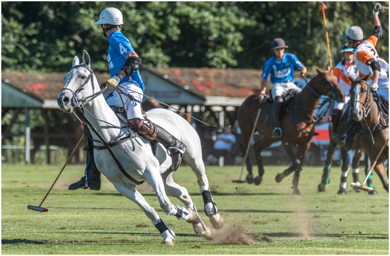 wieder mal beim Polo