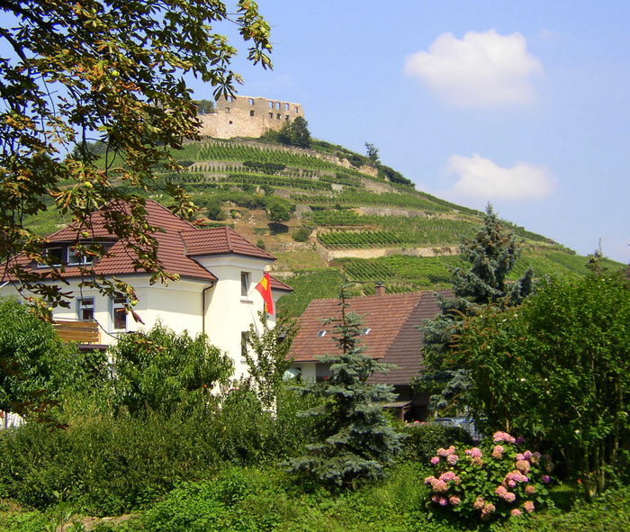 wieder mal die Staufener Burg