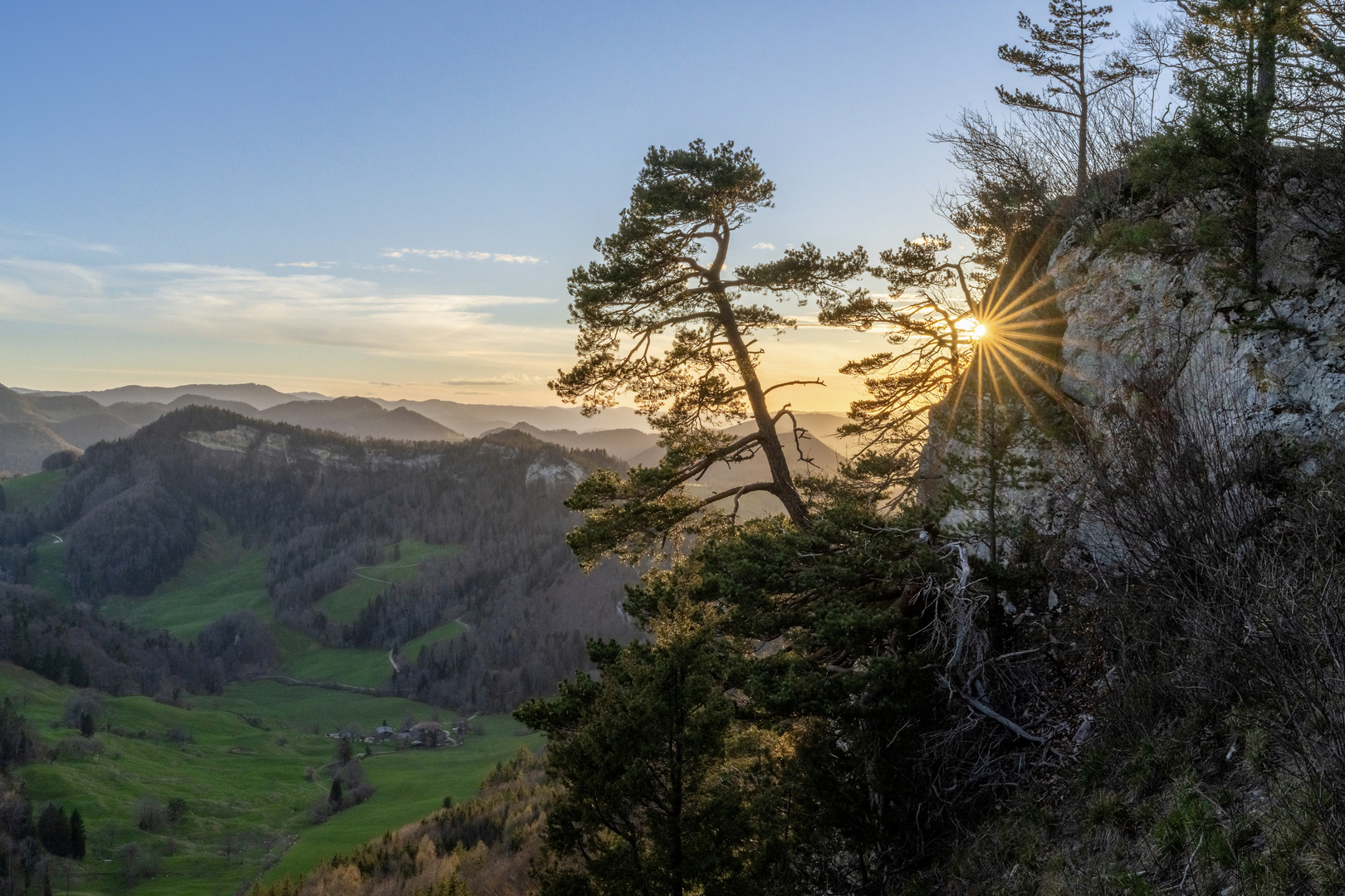 Wieder mal ein Sonnenstern!