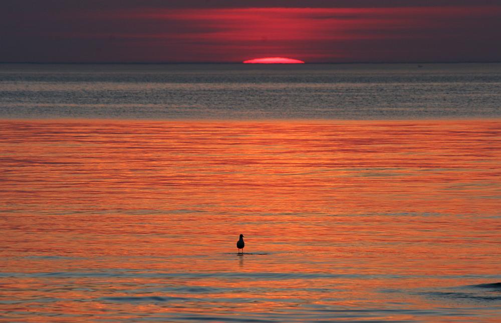 wieder mal ein suuuuper Sonnenuntergang heute ...