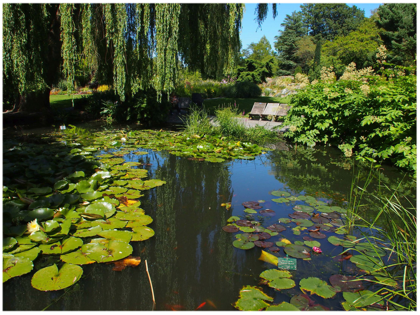 Wieder mal im Botanischen Garten