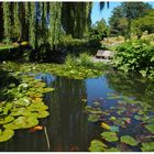 Wieder mal im Botanischen Garten